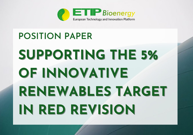 5_per_cent_of_innovative_renewables_target_in_RED_revision