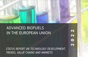 Report on Advanced biofuels in the European Union