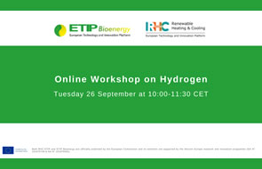 Online workshop on Renewable Hydrogen