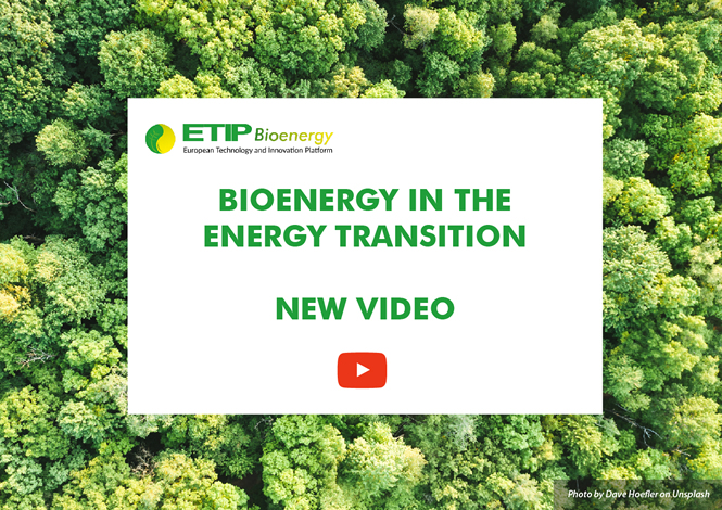 SLIDE_bioenergy_in_the_energy_transition_video