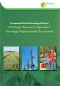 Biofuels TP SRA SDD Report Cover